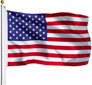 Yiwu Fabriek Populaire Promotie Custom 3x5ft Nationale Banner Vlag American 100% Polyester Vlaggen Met Messing Grommet Voor Promo 'S - Product Image 1