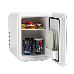 Réfrigérateur cosmétique 8L Fashion Style Beautiful Household Mini Fridge peut être utilisé à la fois pour la voiture et la maison - Product Image 1