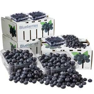 A Grade Blueberries - Jumbo size, Packaging Type: Carton