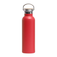 Penjualan Langsung Pabrik Desain Modern Botol Vakum Stainless Steel 500ml Termos Gym Tumbler Botol Air dengan Pegangan untuk Hadiah