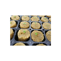 Blocs de laine de roche hydroponiques pour la culture et la propagation des plantes agricoles, pour usage en jardin, 2,7*2,7*2 cm