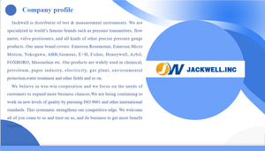 Micro Motion ELITE CMF010M Compteur de Coriolis, 1/10 pouces (DN2), acier inoxydable 316L - Product Image 6