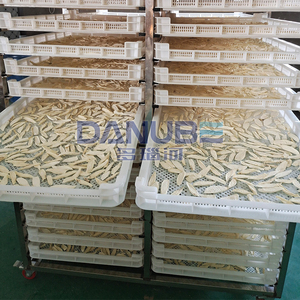 Multi-function Pawpaw Tray Drying Machine Copra Drying Equipment Pineapple Avocado Slice Dehydrated Machine - Product Image 4