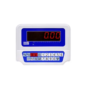 Skr FWN-V10 300Kg Gewicht Indicator Led Elektronische Weegschaal Display Floor Schaal Industrieel Wegen Platform Weegschalen Gewicht Indicator