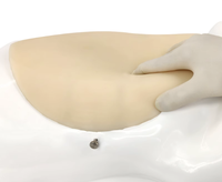 Dispositif de simulation d'hystéroscopie scientifique médicale pour l'enseignement du modèle humain de chirurgie gynécologique hystéroscopique