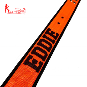 Set Collare e Guinzaglio per Cani in Nylon con Fibbia <span class=keywords><strong>a</strong></span> Sgancio Rapido Regolabile, Colori Classici Solidi - Product Image 5