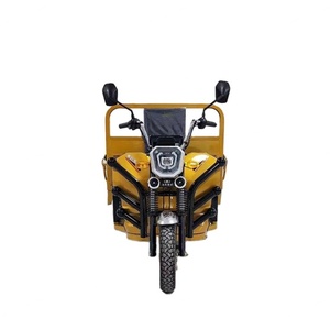 รถสามล้อไฟฟ้าบรรทุกสินค้าคุณภาพสูง 1000 วัตต์ 3 ล้อ สำหรับผู้ใหญ่ ใช้เป็นแท็กซี่ ขาย - Product Image 3