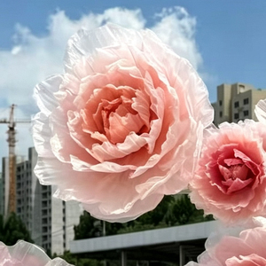Peonías y Camelias Gigantes de Organza Transparente OEM, Ideales para Decoración de Ventanas de Bodas Los colores se pueden personalizar - Product Image 6