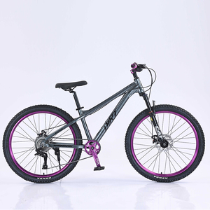 Bestseller KAIMARTE Tupo 26-Zoll MTB Mountainbike Aluminiumrahmen Mechanische Scheibenbremse Aluminiumlegierungsgabel 8-Gang Vorderrad-Mountainbike - Product Image 2