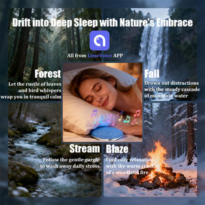 Altoparlante a Conduzione Ossea G06 per il Sonno con App Supportata per l'Ascolto ASMR, Altoparlante a Conduzione Ossea da Posizionare Sotto il Cuscino - Product Image 6
