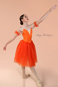 Venta directa de fábrica, superventas, tutú de ballet clásico de hada <span class=keywords><strong>naranja</strong></span> de alta calidad - Product Image 5