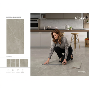 Standard White Marble 60x120cm Glossy Porcelain Tiles Premium Ceramic Flooring Made in India Collection - Product Image 2