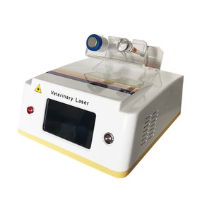 2020 mejor venta de medicamentos veterinarios para perros / gatos y analgésicos para la espalda, tratamiento con láser bio frío - Product Image 4