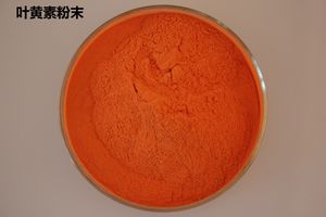 خلاصة الكاليندوفيسيناليس ، خلاصة زهرة لوتين القطيفة الفائقة - Product Image 2