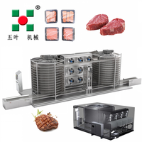 Équipement de congélation spirale IQF en SUS304, machine de surgélation rapide à commande PLC pour la transformation industrielle du poisson, des crevettes, de la viande, des steaks et des pâtes