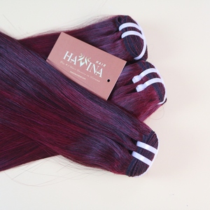 Extensiones de Cabello Humano Vietnamita 100% Natural, Color Borgoña Liso, Suministro Directo de Fábrica, Calidad de Salón para Compradores Africanos - Product Image 1