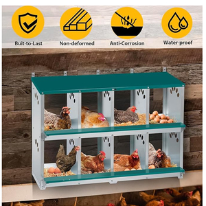 Hộp đẻ trứng gà bán chạy, chuồng nuôi gà, hộp trứng gia cầm, chuồng gà, sản phẩm thú cưng - Product Image 3