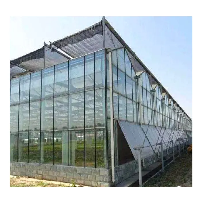 Venlo Glass Greenhouse with Hydroponics System from China