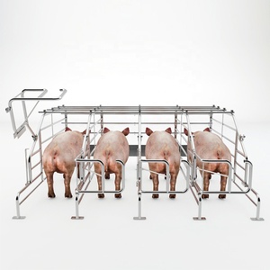 Cages de gestation pour truies et porcs, Équipement d'élevage porcin pour porcheries individuelles - Product Image 3