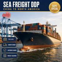 Agent transitaire DPS Logistics pour le fret maritime porte-à-porte FCL/LCL, support 24/7, prix compétitifs, Shenzhen, États-Unis, Canada