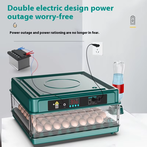 Meilleur <span class=keywords><strong>Prix</strong></span> Couveuse à Œufs Électrique Entièrement Automatique Facile à Utiliser, Mini Incubateur de 15/30/48/70/130 Pièces de Capacité pour 48 Œufs de Poule ou de Caille - Product Image 5