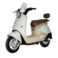 Paige 800W Vélo Électrique Sans Balais Populaire, Moto Bicicleta Eléctrica, Trottinette Électrique Pas Chère 72V pour Adulte
