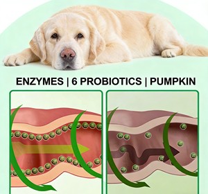 Probióticos para Perros: Golosinas Digestivas, Masticables Prebióticos con Enzimas de Calabaza para la Salud Intestinal, Alivia la Diarrea y el Mal Aliento, Seguro para Peces y Otros Animales - Product Image 6