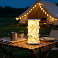 Cadeaux de Noël Nouveautés Divers styles Lanternes en papier portables avec lumière Petits articles de décoration intérieure Recharge USB Lumière d'ambiance