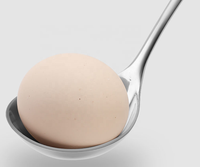 Cuillère à soupe moderne écologique en acier inoxydable 304 de haute qualité, réutilisable, grande tête, manche long, ustensile de cuisine pour la maison