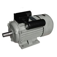 YC100-2, 2.2 kW 220V 3000 tr/min Offre Spéciale condensateur course asynchrone monophasé électrique robuste monophasé moteur à induction