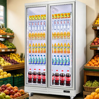 Réfrigérateur vertical grande capacité pour boissons, avec porte en verre trempé, refroidisseur commercial sans givre pour magasin de détail