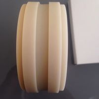 Material de Fresado Dental Monocromático de PMMA de Color Sólido, de Alta Resistencia y Biocompatible