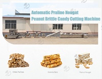 Machine professionnelle de barre de bonbons aux noix chauffage au gaz snack machine de barre de protéines d'arachide praline nougat ligne de production