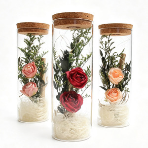Regalo de San Valentín <span class=keywords><strong>AIDA</strong></span>, Botella de Vidrio con Rosas para Enamorados, Regalo Sorpresa de Cumpleaños para Esposa, Novia, Fiesta, LED Romántico de Ensueño - Product Image 2