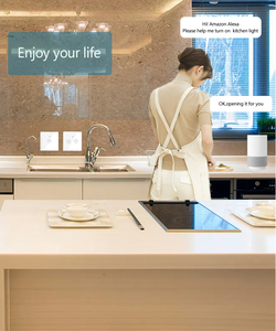 Cnskou Hot Bán EU/UK tuya nhà thông minh Thiết bị chuyển mạch thông minh 2 Gang <span class=keywords><strong>ZigBee</strong></span> tường cảm ứng ánh sáng thiết bị chuyển mạch - Product Image 6