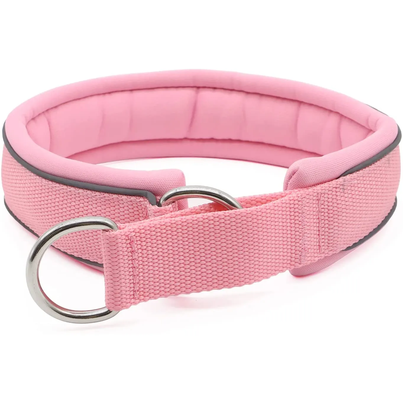 Super Soft Quick-Drying Neoprene Lining Reflective Nylon Martingale Dog Collar for Swimming Walking