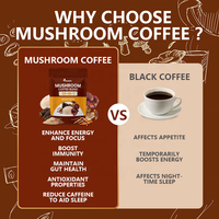 Mélange de café aux champignons Meelefu, complexe de 20 champignons en 1 en poudre avec Reishi, Cordyceps, mélange de boisson quotidienne fonctionnelle