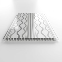 Panneau de plafond en PVC Silver Line, panneau décoratif en plastique avec rayures