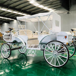 Carrozza Elettrica Senza Cavalli Cenerentola 48V 4 Ruote in Acciaio per Matrimoni e Turismo - Product Image 4