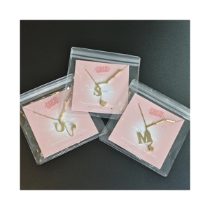 Bolsa de embalaje de plástico con accesorios de PVC personalizados de alta calidad con cremallera para joyería, bolsa de joyería Ziplock - Product Image 1