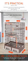 Cage pour chat de luxe en gros, à 2 niveaux, en métal, avec grandes roues universelles, en acier inoxydable amovible, fermeture à poussoir, thermolaquée
