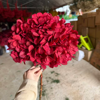 Fleurs de mariage bordeaux, grande fleur d'hortensia à feuille unique préservée pour fournitures de fleuristes