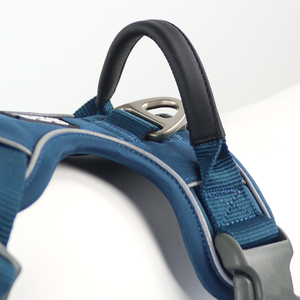 Harnais pour chien avec logo personnalisé en grande quantité jolies fournitures pour animaux de compagnie harnais pour chien d'extérieur souple à la mode à vendre - Product Image 4