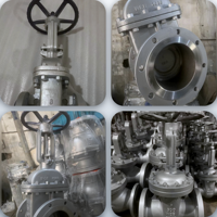 Vanne à opercule à tige montante à bride en acier au carbone moulé ASTM A216 WCB, norme ASME B16.34 ANSI Classe 150, siège souple DN15-DN400 pour l'eau