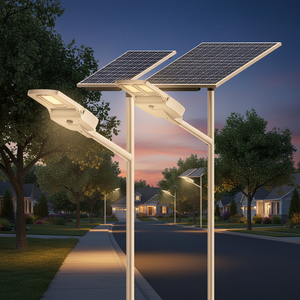 100W IP66 <b>LED</b> Solar Street <b>Light</b> with <b>Motion</b> <b>Sensor</b> for Outdoor Use in Campus & Park - Product Image 1