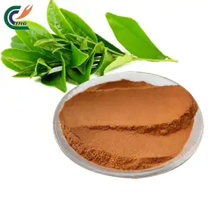 Green Tea Extract Tea Polyphenol 98% L-theanine Epicatechin