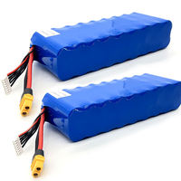 Batterie au lithium IP54 étanche à la poussière, enveloppée de silicone, 48V 15Ah 20Ah 25Ah 30Ah pour sonnette sans fil, détecteur de fumée, alarme incendie 48V 25Ah