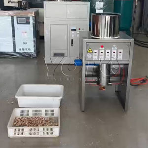 Éplucheur d'ail commercial personnalisable 200kgh Type de chaîne automatique peau d'ail enlevant la Machine d'épluchage - Product Image 3
