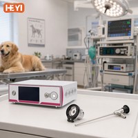 Système d'endoscopie rigide vétérinaire HEYI LN-C700N FHD 1080P 60FPS Écran tactile 7 pouces Source de lumière LED 100W Acier inoxydable 304 CE