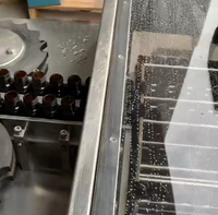 Machine de lavage rotative à ultrasons pour flacons, nettoyeur automatique à 10, 12 ou 20 stations pour petites bouteilles en verre
